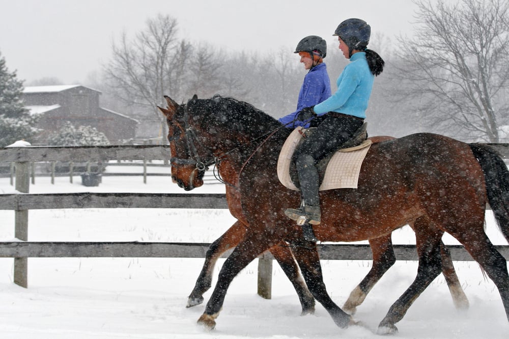 Forrest Hill Farm & Kaiser Dressage Training Center - equestrian in Lafayette, IN