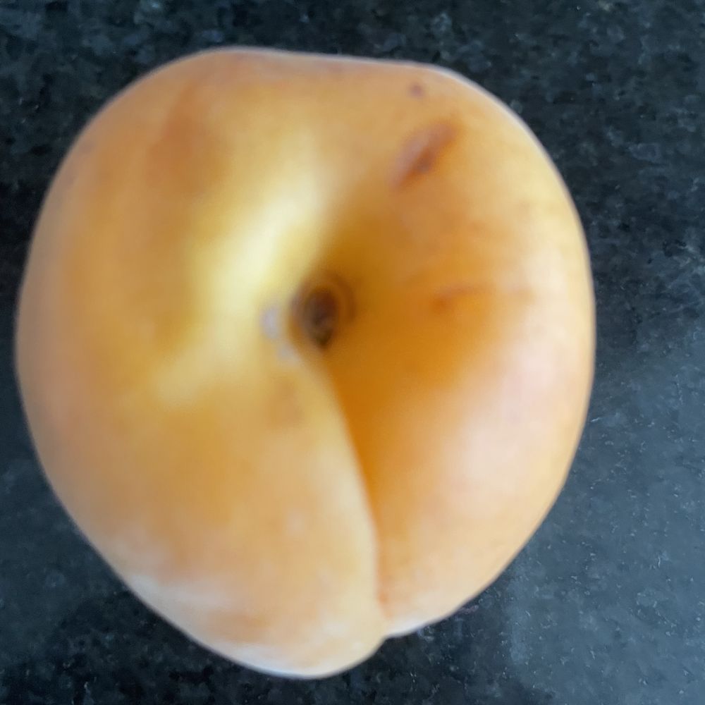 Jewel-Osco - Moldy Apricot - Grocery Near Me - Wilmette, Illinois Jewel-Osco - Moldy Apricot - Grocery Near Me - Wilmette, Illinois