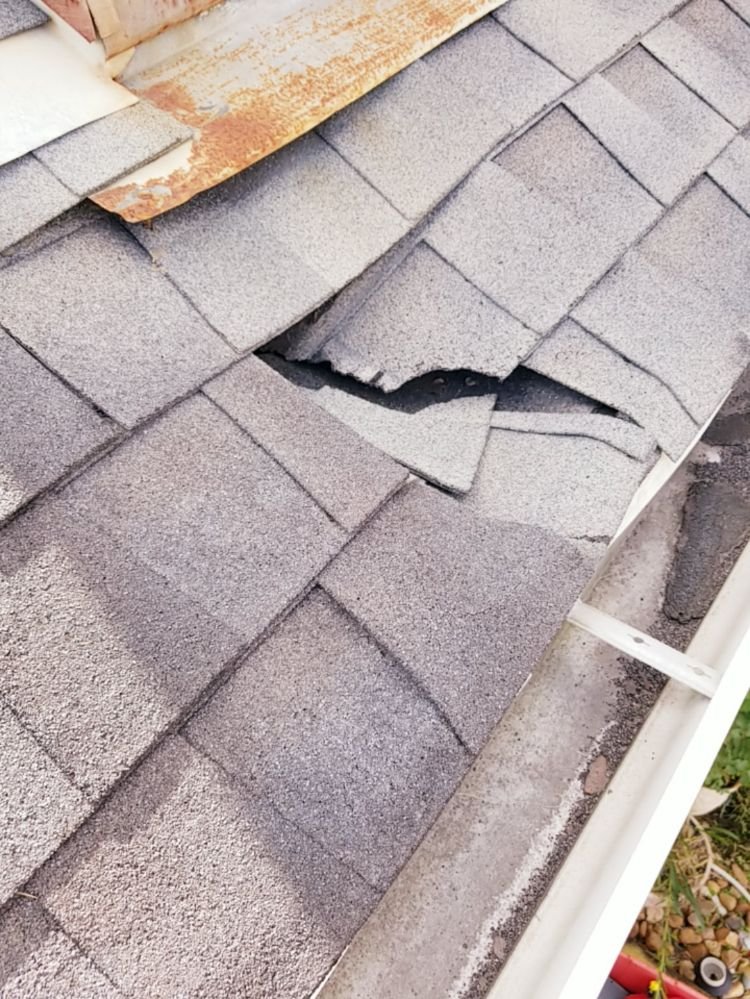 Slide of Mossible Solutions