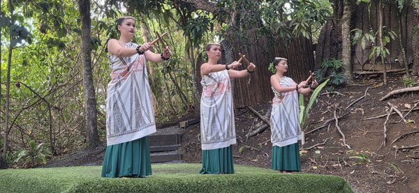 Experience Nutridge by null