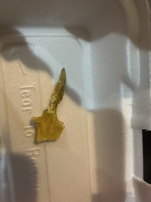 Angolino Pizza by null