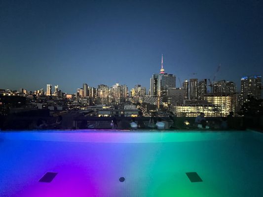 Harriet's Rooftop by null