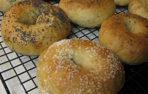 Detroit Institute of Bagels by null