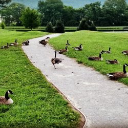 Jones Farm Park