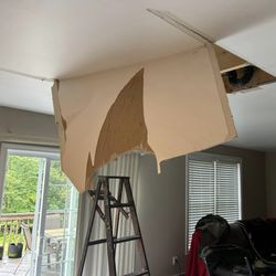 The Demolition Man