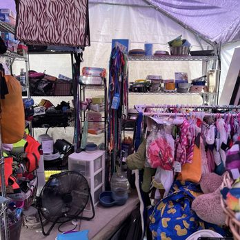 Dog Junkies Thrift Store - The whole back of the tent is animal supplies - Thrift Stores Near Me - Las Vegas, Nevada Dog Junkies Thrift Store - The whole back of the tent is animal supplies - Thrift Stores Near Me - Las Vegas, Nevada