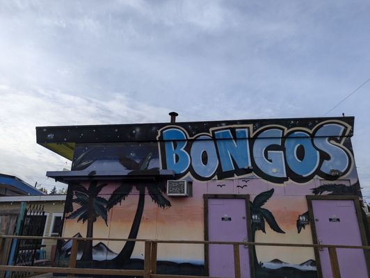 Bongos by null