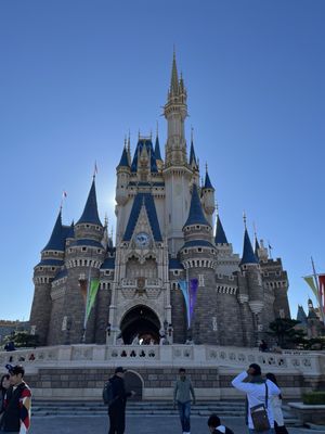 Tokyo Disney Resort by null