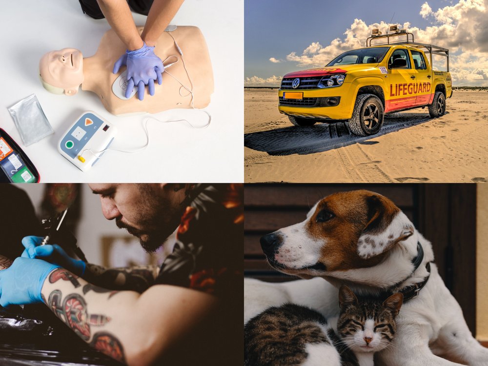 Bexar Safety Training & Consulting - safety consultant in San Antonio, TX