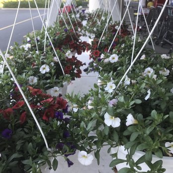 Weis Markets - Flowers for sale outside - Grocery Near Me - Havre de Grace, Maryland