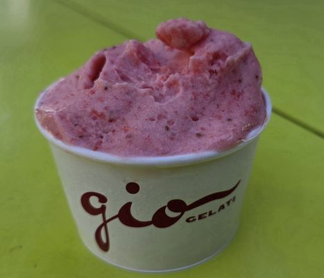 GIO Gelati San Ramon by null