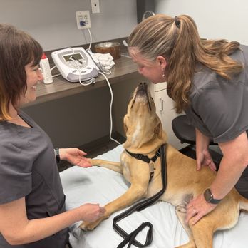 Skylos Sports Medicine - Veterinarians Near Me - Frederick, Maryland Skylos Sports Medicine - Veterinarians Near Me - Frederick, Maryland