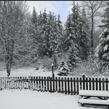 Artic Tavern - Pubs Near Me - Cosmopolis, Washington
