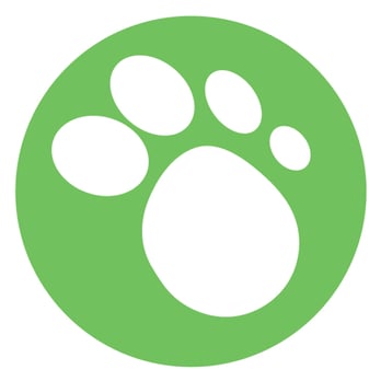Struttin Pup - Pet Stores Near Me - Lafayette, Colorado Struttin Pup - Pet Stores Near Me - Lafayette, Colorado