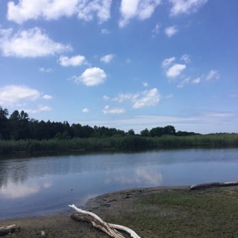 Flag Ponds Nature Park - One of the close to the shore ponds. - Parks Near Me - Lusby, Maryland