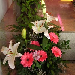 Patrocínio Floricultura