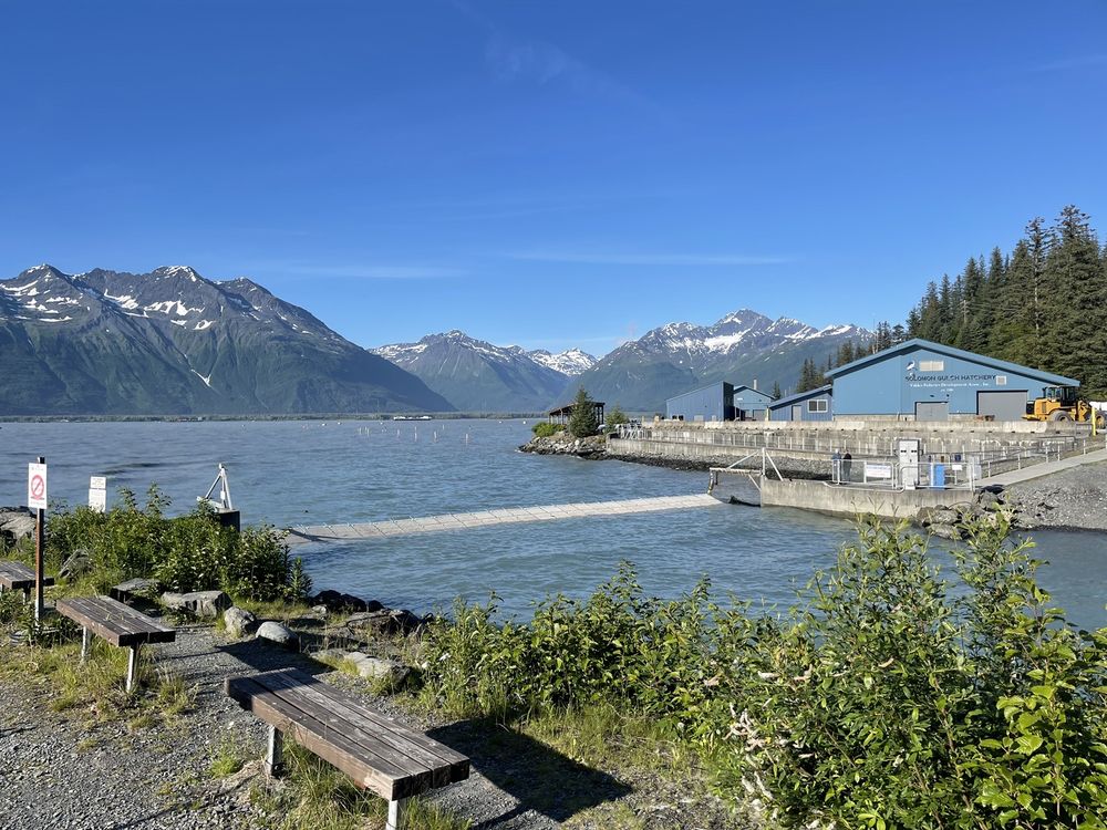 SOLOMON GULCH FISH HATCHERY Updated September 2024 Dayville Rd, Valdez, Alaska Local