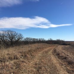 Five Ridge Prairie - Path.