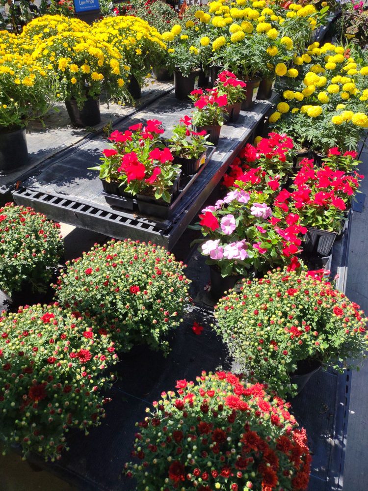 WALMART SUPERCENTER Updated August 2024 272 Photos & 388 Reviews