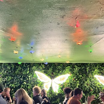 Mariposas - Interior - Peruvian Near Me - San Francisco, California Mariposas - Interior - Peruvian Near Me - San Francisco, California