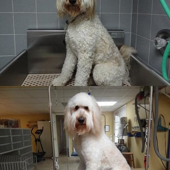 Groom Room - Pet Groomers Near Me - Rocky Face, Georgia Groom Room - Pet Groomers Near Me - Rocky Face, Georgia