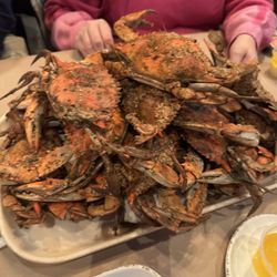 Sea King Crab House - Maryland Blue crab