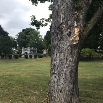 Thornrose Cemetery - I'm lichen this view - Funeral Services & Cemeteries Near Me - Staunton, Virginia Thornrose Cemetery - I'm lichen this view - Funeral Services & Cemeteries Near Me - Staunton, Virginia