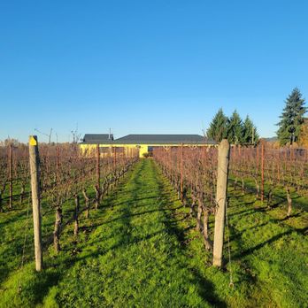 Redgate Winery - a vineyard with a yellow building in the background - Wineries Near Me - Independence, Oregon Redgate Winery - a vineyard with a yellow building in the background - Wineries Near Me - Independence, Oregon