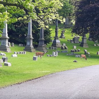 Forest Lawn - Funeral Services & Cemeteries Near Me - Buffalo, New York