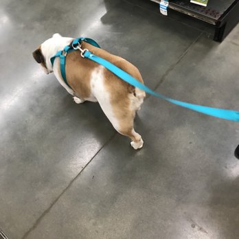 Petco - Pet Stores Near Me - Summerville, South Carolina