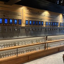 First floor beers from light on the left to darks in the right.