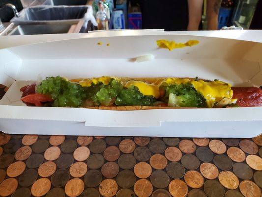 Chuck's Backyard by null