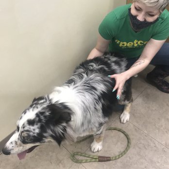 Petco - Hannah could handle this frisky guy - Pet Stores Near Me - Tucson, Arizona