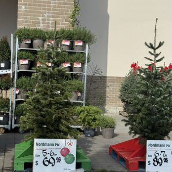 The Home Depot - Nurseries & Gardening Near Me - Hayward, California