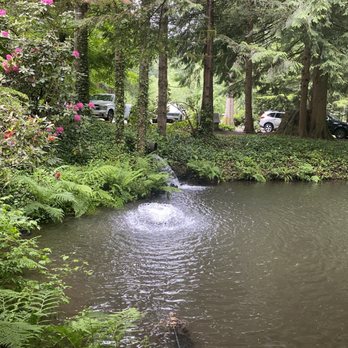 Rainbow Trout Farm - Even though the parking lot was almost full, the farm is so huge and parts of it were still tranquil. - Lakes Near Me - Sandy, Oregon