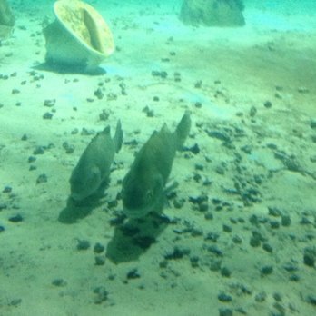 Branson Wild World - Aquariums Near Me - Branson, Missouri Branson Wild World - Aquariums Near Me - Branson, Missouri