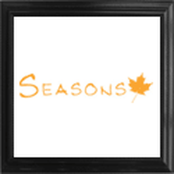 Seasons - http://www.seasonsclothing.co.uk - Fashion Near Me - Sheffield, SHF Seasons - http://www.seasonsclothing.co.uk - Fashion Near Me - Sheffield, SHF