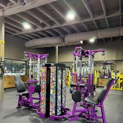 RESULTS Personal Training