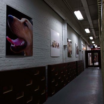 VIP'S Pet Hotels - Pet Groomers Near Me - Chicago, Illinois