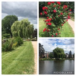 Rosarium - Free entrance