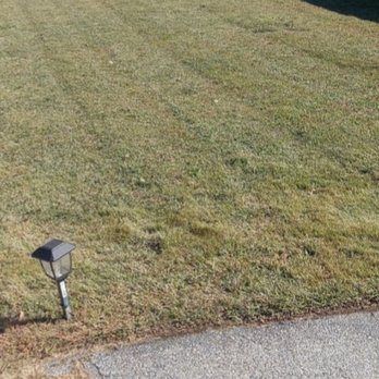 Igo Landscaping - a lawn with a lawn light in the middle of it - Landscaping Near Me Igo Landscaping - a lawn with a lawn light in the middle of it - Landscaping Near Me