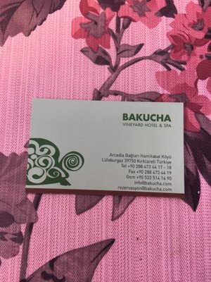 BAKUCHA Vineyard Hotel & SPA by null