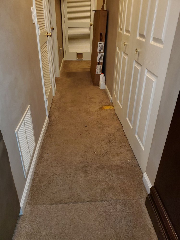 MARYLAND CARPET REPAIR AND CLEANING Updated May 2024 115 Photos