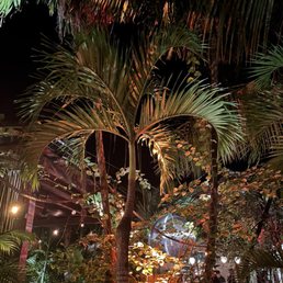 Walking in to gitano
