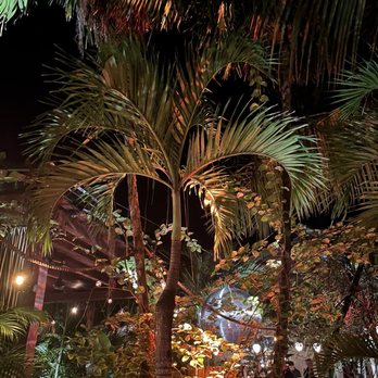 Gitano - Walking in to gitano - Mexican Near Me - Boca Paila, ROO