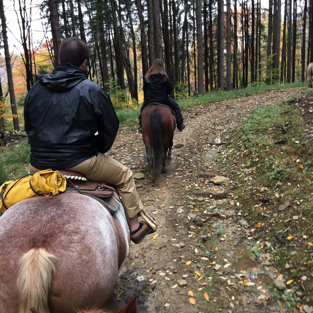 Trail ride with Kate, Lily, Gem, and Maybelline. Trail ride with Kate, Lily, Gem, and Maybelline.