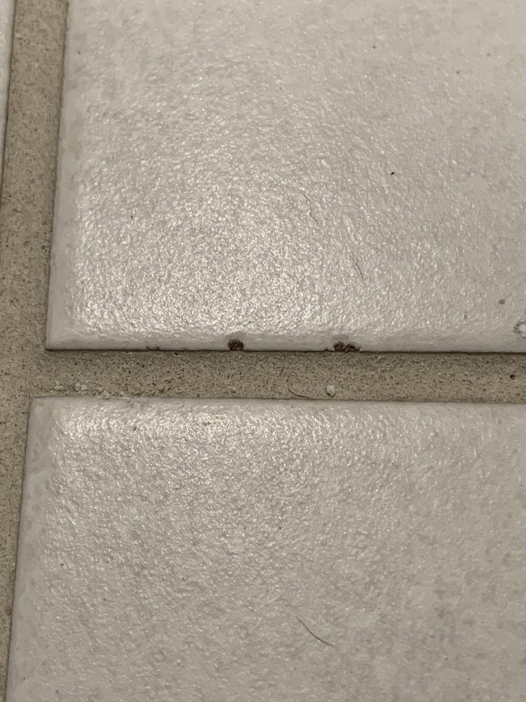 MALLORY SQUARE BY MARONDA HOMES 14 Photos 134 No Name Key Dr