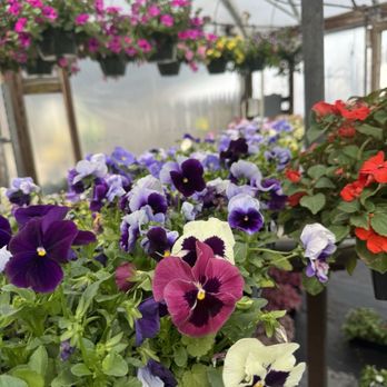 Mischler's Florist - Flowers - Nurseries & Gardening Near Me - Williamsville, New York Mischler's Florist - Flowers - Nurseries & Gardening Near Me - Williamsville, New York