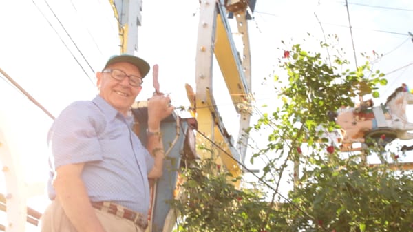 Hamtramck Disneyland by null