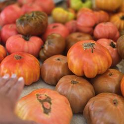 Montclair Farmers Market